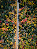 Aerial view of colorful autumn foliage and meandering road through lush forest,Lincoln,New Hampshire,United States