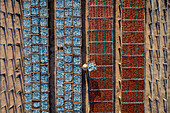 Aerial view of fish drying and sunning at a workshop in Vung Tau,Vietnam