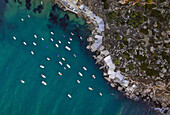 Luftaufnahme von Segelbooten, die entlang der Küstenlinie in der Quarraba-Bucht vertäut sind, Mgarr, Malta