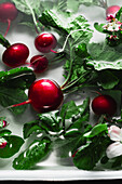 Fresh radishes lying in the water