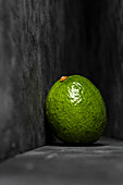 Still life with avocado against a grey background
