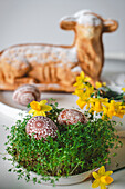 Pisanki Easter eggs on a bed of cress with Easter lamb cake