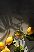 Still life with fresh lemons and a glass of water