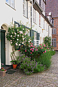 Reihenhaus-Innenhof mit blühenden Rosen und Lavendel