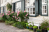 Romantischer Innenhof mit Rosen und weißer Gartenbank