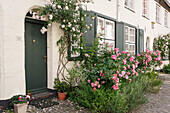 Rosen und Lavendel vor einer grünen Haustür in der Altstadt