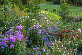 Bunte Herbstblumen im Westgarten von Morton Hall, Worcestershire
