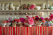 Dahlien-Arrangements in Vasen auf gestreiftem Tuch