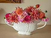 Weiße Vase mit Dahlien (Dahlia) in Pink- und Orangetönen auf Tisch