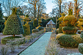 Frostbedeckter Gartenweg mit kunstvoll geschnittenen Eiben im Winter