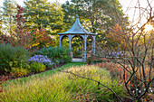 Graspfad zu Pavillon mit Herbst-Blaugras (Sesleria autumnalis) und Sommer-Astern (Aster x frikartii 'Mönch') im Spätsommergarten