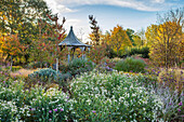 Pavillon im herbstlichen Garten mit Sternwolkenastern und Eisenkraut