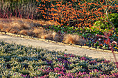 Garten mit Weg, Heidekraut und Zaubernuss