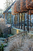 Frostbedeckter Garten mit verziertem Treppengeländer und Hainbuchen
