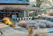 Winterliche Terrasse mit frostüberzogenen Ziergräsern (Pennisetum alopecuroides "Hameln")