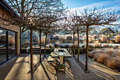 Sonnenbeschienene, frostige Terrasse mit Schirmplatanen (Platanus acerifolia) und winterlichen Gräsern
