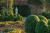 Immergrüne Buchsbaumkugeln neben Kiesweg im ummauerten Garten