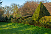 Eiben Formschnitt, Frühlingsgarten von Little Malvern Court, Worcestershire