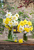 Frühlingssträuße mit Narzisse, Forsythie und Kirschblüte