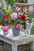 Blumenstrauß mit Dahlie, Mannstreu, Färberkamille und Zierapfel im Krug, mit Katze
