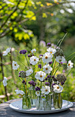 Patagonisches Eisenkraut (Verbena bonariensis), Schmuckkörbchen, Zierlauch und Gräser in kleinen Vasen