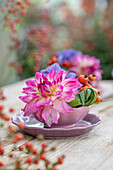 Hortensie, Dahlie und Hagebutten (Rosa multiflora) in Schalen arrangiert