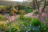 Blühende Frühlingsgarten-Terrasse mit Tulpen, Vergissmeinnicht und Wasserbrunnen