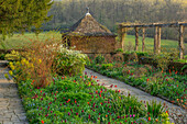 Steinweg im Gravetye Manor mit blühenden Tulpen im Aprilgarten
