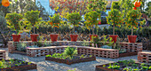 Gemüsegarten mit Ziegelbänken und Orangenbäumen in Containern
