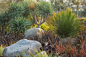 Sukkulenten und Felsen im Botanischen Garten auf Sizilien