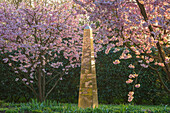 Goldene Säule zwischen blühenden Kirschbäumen im Frühlingsgarten