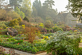 Frühlingsgarten mit blühenden Tulpen im Nebel im Gravetye Manor, Sussex