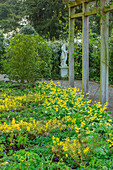Garten mit Pergola, gelben Zahnlilien (Erythronium) und Elfenblumen (Epimedium), Morton Hall