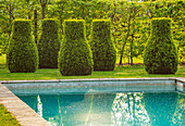 Formschnitt Buchsbäume am Pool im Frühlingsgarten