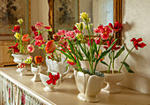 Bunte Tulpen (Tulipa) in Constance Spry Vasen auf cremefarbener Anrichte