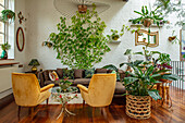 Wohnzimmer mit Kletterpflanze Goldener Efeutute (Epipremnum aureum) an weißer Ziegelwand und Retro-Sesseln vor Ziegelwand