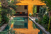 Pool mit exotischen Pflanzen und orangefarbener Loggia