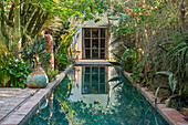 Schmaler Kanal-Pool mit umgebenden Sukkulenten im Garten