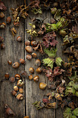 Hazelnuts and acorns on a wooden base