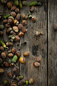 Hazelnuts and acorns on a wooden background