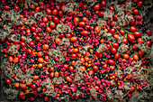 Still life with local autumn fruits