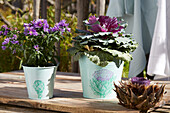 Lila Astern und Zierkohl (Brassica oleracea) in bemalten Metalltöpfen auf Holztisch