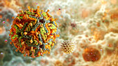 Yellow fever virus, illustration