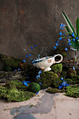 Blue flower tea