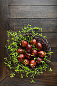 Easter nest with coloured eggs