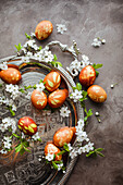 Easter eggs coloured with herbs and flowers