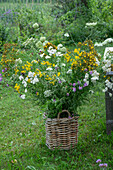 Bunter Sommerblumenstrauß mit wilder Möhre, Witwenblumen, Wiesearnika, Schafgarbe und Beifuß im Weidenkorb auf grünem Rasen im Garten