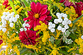 Bouquet of goldenrod, dahlias, sneezewort (Achillea ptarmica) and grasses