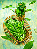 Fresh wild garlic in a wooden bowl and in a basket