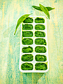Wild garlic pesto in ice cube tray